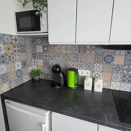 Διαμέρισμα Giedres Apartments-alkava Κάουνας